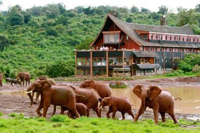 Aberdare National Park Tour From Nairobi