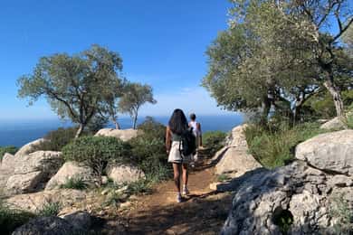 Vanuit Palma: Valldemossa-tour en bergwandeling met uitzicht
