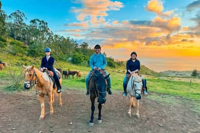 Oahu: Horseback Riding Sunshine or Sunset Tour
