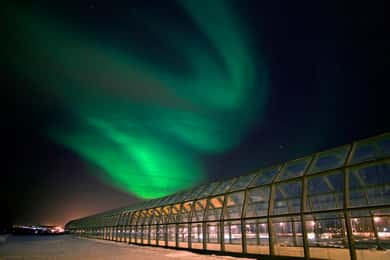 Rovaniemi: Arktikum videnskabscenter og entrébillet til museet