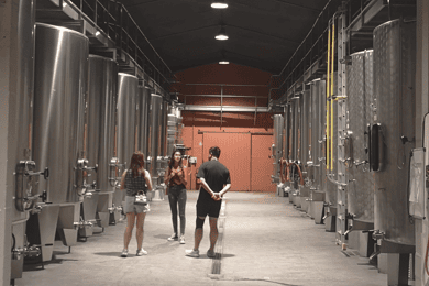 Médoc Wein Tour ab Bordeaux: 2 Weingüter & 6 Weine