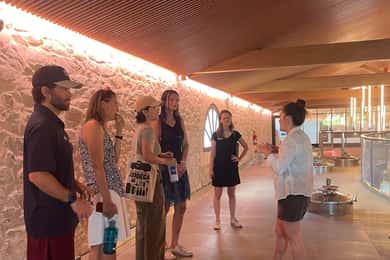 Montpellier : Wine Tour Pic St Loup