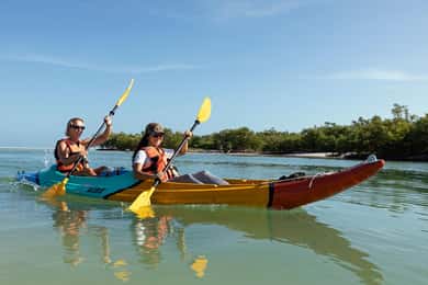 Holbox: Kajaktour zum Sonnenaufgang durch die Mangroven