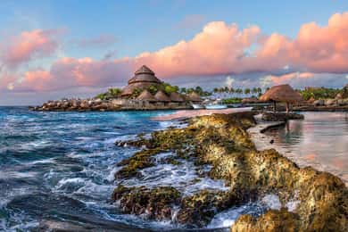 From Playa del Carmen: Xcaret Park All-Inclusive