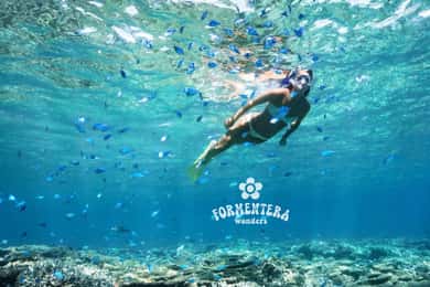 Ibiza: Formentera-kryssning med paella, öppen bar och vattensporter