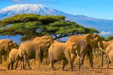 From Nairobi: 3 Days Amboseli Tour