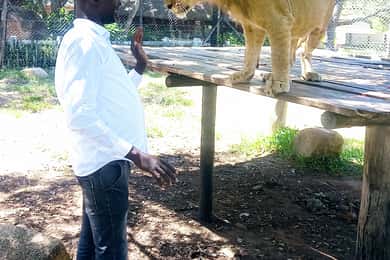 Harare: Half Day Outdoor Adventure
