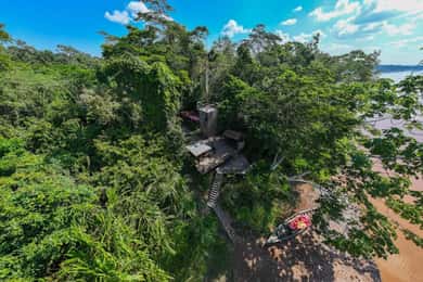 From Puerto Maldonado: 4-Day Excursion /wildlifesearch