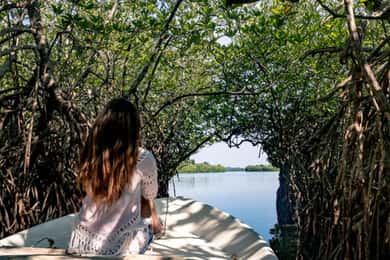Bentota: All Inclusive Galle Dutch Fort & Madu River Safari