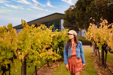 Adelaide: Barossa and Adelaide Hills Tour with Lunch