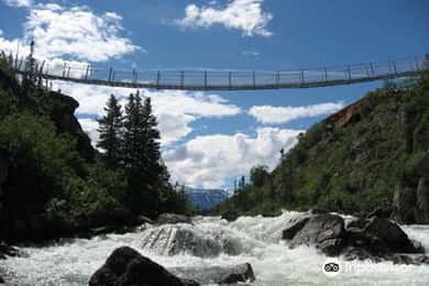 From Skagway: White Pass and Yukon Suspension Bridge Tour