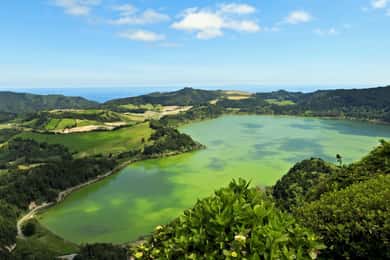 Furnas: Visita guiada às plantações de chá, lagoa e vulcão
