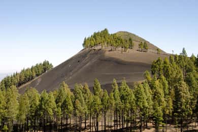 Maspalomas y Las Palmas: Artenara, Tamadaba y degustación de sidra