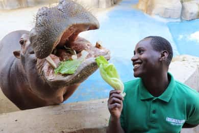Inngangsbillett til Emirates Park Zoo