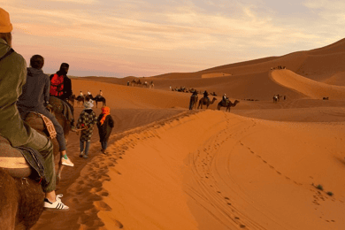 Desde Marrakech Excursión de 2 días por el desierto de vuelta a Fez o Marrakech