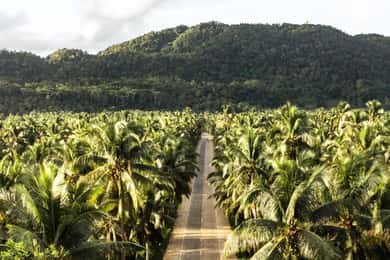 Siargao Tour D (privat resa)