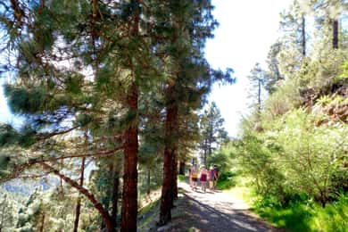 Tenerife : Randonnée au dessus du village de Masca