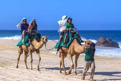 Agadir/Taghazout : Quad y paseo en camello por la playa