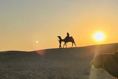 Half Day Camel Safari Sunset with Dinner by Wanderlust