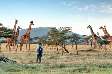 Arusha National Park Day Tour with All-Inclusive