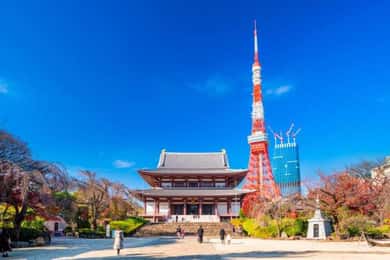 Tour privato di 5 giorni Tokyo, Monte Fuji, Nikko, Hakone e Nagano