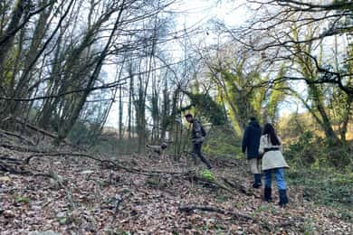 Truffle hunting in Chianti with pasta cooking class & lunch