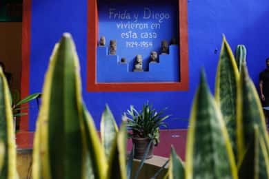 Mexico City: Frida Kahlo Museum Tour