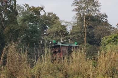 Chitwan: jungle One Night Towerstay in chitwan national park