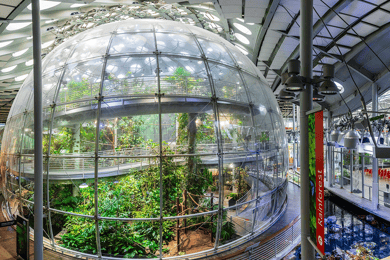 SF: CA Academy of Sciences & sightseeing med hop-on hop-off (spara 15%)