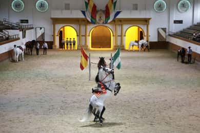 Von Sevilla aus: Tour durch Jerez mit Pferdeshow und Weinverkostung