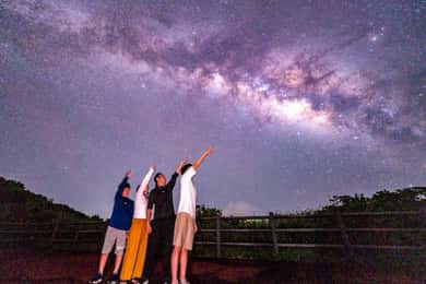 Okinawa Iriomotejima Night Adventure Tour