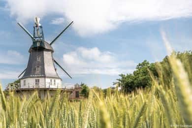 Nordstrand: gita di un giorno in barca a Föhr