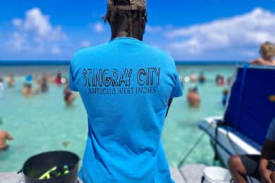 Stingray City & Tour in the East Coast of Antigua with Lunch