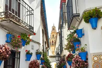 Costa del Sol: Privéreis naar Cordoba