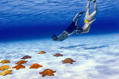 Cozumel: Private Snorkel Tour El Cielo + 3 Reefs Food Drinks