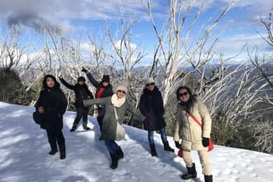 Au départ de Melbourne : Excursion en petit groupe au Mt Buller Snow Day