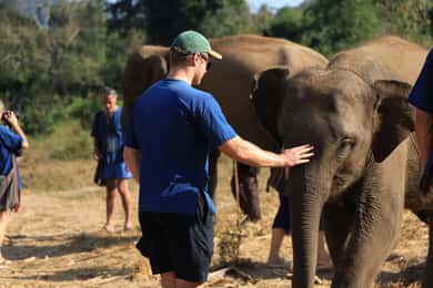 Chiang Mai: Elephant Sanctuary & Bamboo Rafting