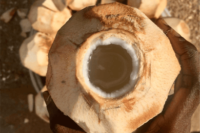 Accra Central: Street Food Walking Tour with Akosua Serwaa