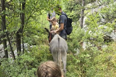 Kvarner/Šmrika: Οδηγός για περίπατο με γαϊδουράκια, σπήλαιο και γραφικό σημείο για πικνίκ