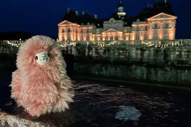 Paris : Vaux-le-Vicomte Visite guidée privée