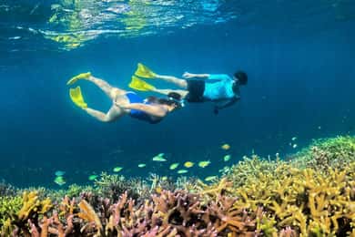 Hidden Gili's Lombok Snorkeling Daily Tour