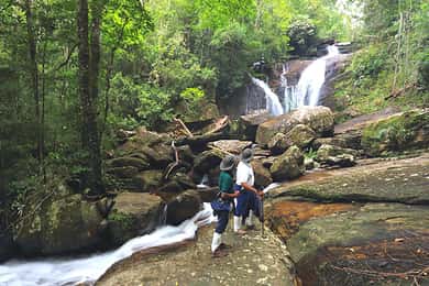 Sinharaja Rain Forest UNESCO Walk and Bird Watching Day Tour