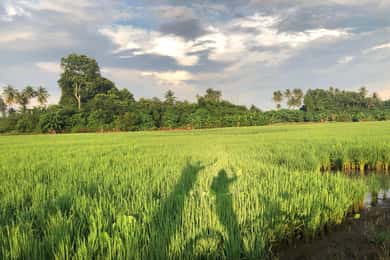 George Town: Balik Pulau Countryside Morning Cycling Tour