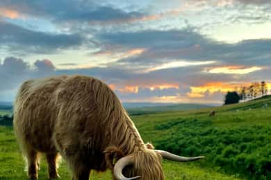 Two Day Taster Tour of Skye and the Highlands