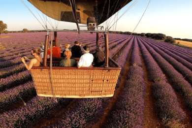 Brihuega: Balloon Flight Above Lavender Fields