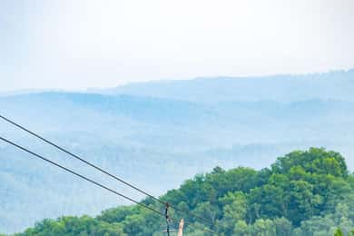 Пиджийн Фордж: 7-линейна обиколка със зиплайн в Смоки Маунтънс