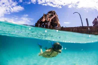 Moreton Island: Tangalooma dagsutflykt med snorkling