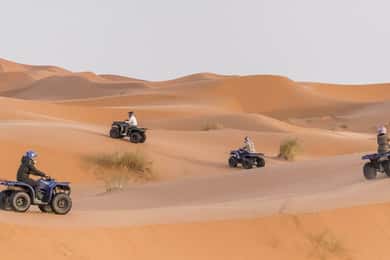 Agadir/Taghazout: aventura en quad y sandboard
