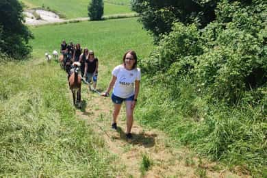 Jettingen-Scheppach: Alpaca hike through the Mindeltal