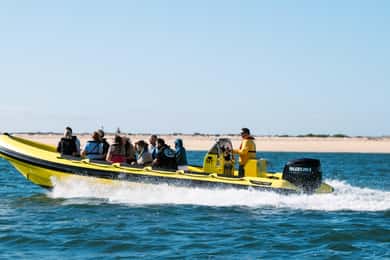 De Faro: Cruzeiro Hop-on Hop-off 3 Ilhas Ria Formosa